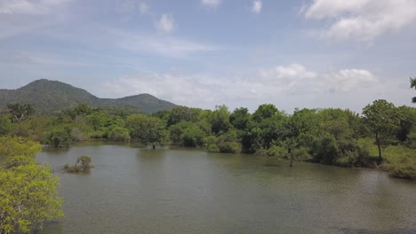 Luftüberflug:-Männer-Paddeln-Mit-Einem-Auslegerkanu-Im-Sumpfigen-Feuchtgebiet-Sri-Lankas