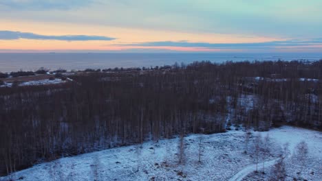 Abgeholzter-Verbrannter-Wald-Von-Daugavgriva,-Lettland,-Luftaufnahmen