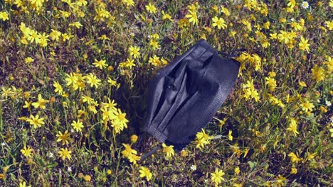 Discarded-black-COVID-face-mask-in-breezy-wildflower-park-grass