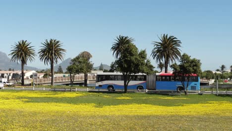 Long-articulated-transit-bus-on-waterfront-street-in-Cape-town,-RSA