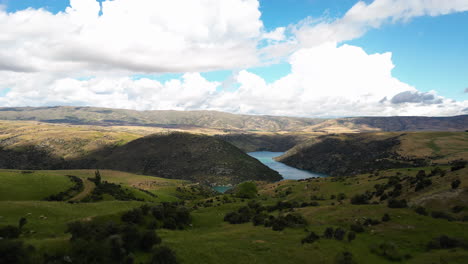 Idyllic-rolling-landscape-of-pastures-by-Clutha-River,-Otago-region-New-Zealand,-aerial-view