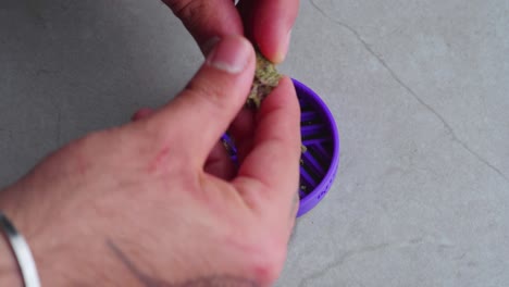 Caucasian-man-uses-fingers-to-break-apart-a-marijuana-cannabis-bud-into-a-silicone-tray