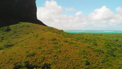 Aerial-view-of-beach-forest-of-Mauritius-island-with-the-Morne-Brabant-mountain
