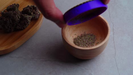 Man-pours-grounded-marijuana-for-a-joint-into-bowl-next-to-tray-of-cannabis-buds