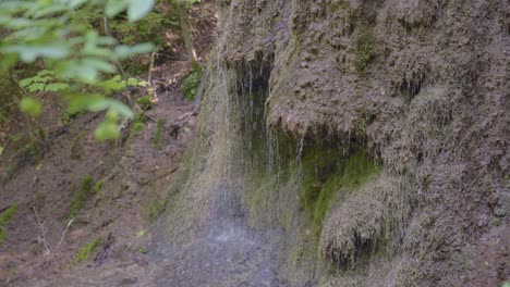 El-Agua-Se-Escurre-Erosionando-La-Ladera-En-El-Bosque-Cerca-De-Varbo,-Hungría