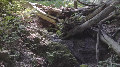 Wasser-Rieselt-Durch-Ein-Gewirr-Umgestürzter-Bäume-Im-Wald-In-Der-Nähe-Von-Varbo,-Ungarn