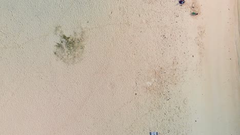 Overhead-view-of-the-Flic-En-Flac-Beach-with-signs-mounted-in-the-sand