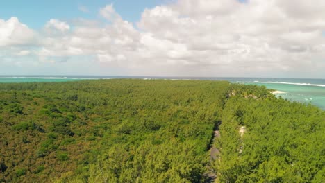-Le-Morne-forest-covering-the-island-with-tall-trees-that-contrasts-with-the-blue-sea