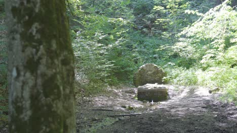 Reveal-of-stone-structure-marking-drainage-pipe-in-forest,-Varbo,-Hungary