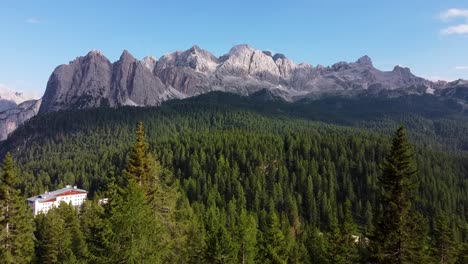 Extremely-close-flying-to-pine-tree-top-with-Dolomites-in-horizon