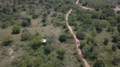 Forest-aerial-tracks-truck-driving-on-dirt-road-in-Yala-National-Park