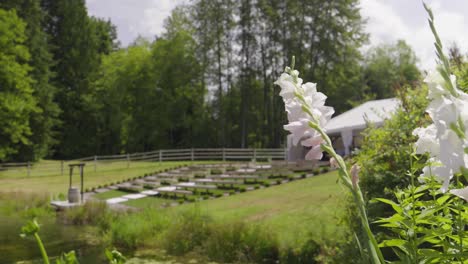 Weiße-Gladiolenblüten-In-Einem-Hochzeitsanwesen