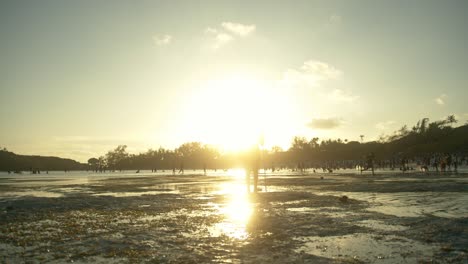 Silhouette-Eines-Massai-Kriegers,-Der-Am-Strand-Mit-Hintergrundbeleuchtung-Und-Sonnenuntergang-In-Watamu,-Kenia,-Spaziert
