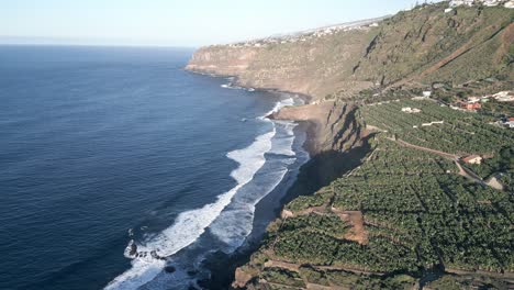 Aerial-view-of-banana-trees-plantation-growing-at-field-on-a-cliff-next-to-the-sea-in-Tenerife,-Canary-Islands