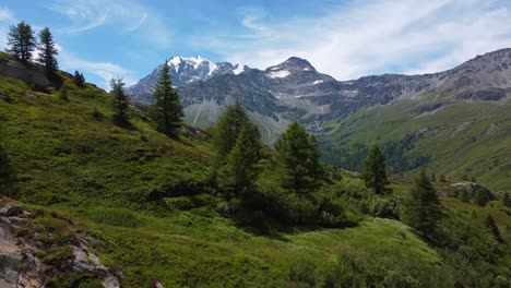 Aufsteigender-Flug-über-Grüne-Hügel-Mit-Bäumen-Und-Schneebedeckter-Bergkette-Der-Schweiz-Im-Hintergrund-Im-Sommer