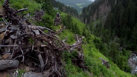 Deep-mountain-valley-with-broken-tree-stumps-on-slope,-aerial-view