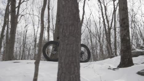 Fatbike-cyclist-in-the-snowy-forest---mountain-biking-in-the-winter