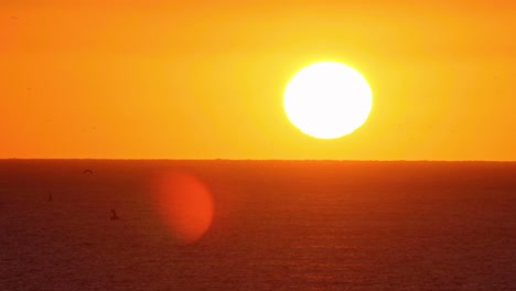 beauty-landscape-with-sunset-over-sea-and-some-seagulls-crossing-the-line,-4k-slow-motion