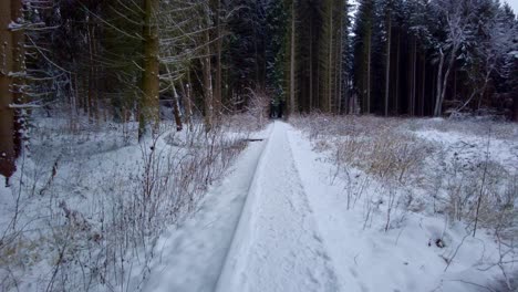 Wandern-Durch-Ein-Winterwunderland:-Eine-Reise-Durch-Einen-Schneebedeckten-Wald-Und-über-Einen-Schmalen-Steg,-Um-Die-Stille-Schönheit-Und-Majestätische-Landschaft-Des-Winterzaubers-Zu-Erleben
