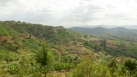 Tiro-Panorámico-Del-Valle-De-La-Montaña-En-Ruanda