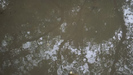 Wasser-Eines-Flusses-Mit-Der-Spiegelung-Des-Himmels-Und-Dem-Plätschernden-Wasser