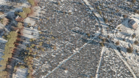 Top-down-aerial-shot-over-rural-American-scrubland-in-winter