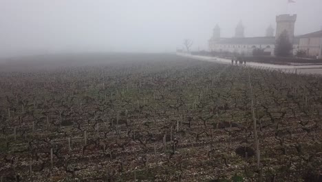 Kahle-Weinreben-An-Einem-Nebligen-Wintertag-Mit-Dem-Schloss-Cos-D&#39;Estournel-Im-Hintergrund,-Bordeaux-In-Frankreich