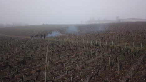 People-walking-on-fields-of-Cos-d'Estournel-castle-on-foggy-day,-Bordeaux-in-France