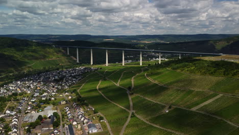 Rising-flight-in-front-of-the-High-Moselle-Bridge