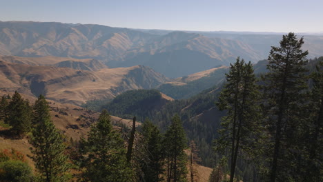 Aerial-overlook-of-Hells-Canyon-gorge-with-pine-trees-in-foreground