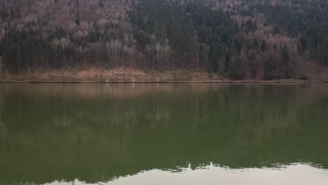 Kameraaufnahme-Der-Donau-Von-Einem-Ufer-Zum-Anderen