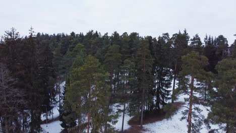 Peaceful-forest-aerial-landscape-in-Ogre,-Latvia,-lowering,-winter-snow