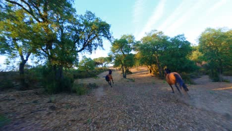 FPV-aerial-following-horses-galloping-through-a-forest