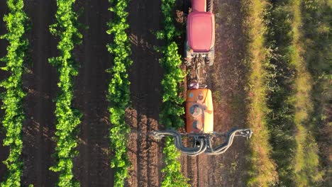 Top-down-aerial-tracking-tractor-spraying-toxic-pesticides-to-french-vineyard,-grapes-and-parkinson-disease-of-industrial-agriculture-chemicals