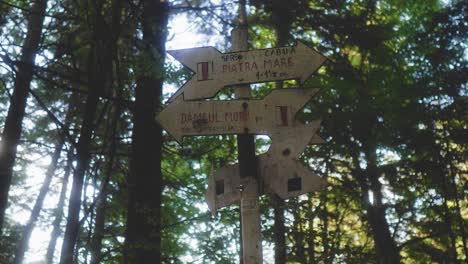 Static-shot-of-hiking-information-panels-with-a-blurry-foresty-background