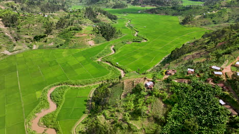 Die-Drohne-Bewegt-Sich-Vorwärts-Und-Zeigt-Ein-Reispastetchen-Im-Tal-Einer-Bergkette-In-Ruanda