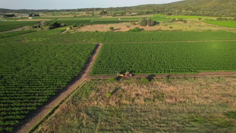 Drone-veiw-highlights-the-picturesque-scenery-of-French-vineyards-near-Montpellier,-Sète,-and-Côte-d'Azur,of-toxic-pesticides-on-the-environment-and-human-health
