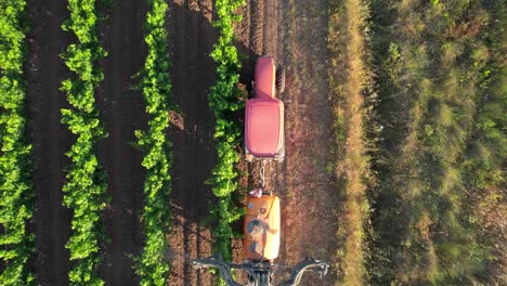 Drone-topdown-view-The-harmful-effects-of-toxic-pesticides-used-in-French-vineyards-are-not-just-limited-to-the-immediate-environment,-but-can-also-lead-to-health-risks-for-those-exposed-to-them