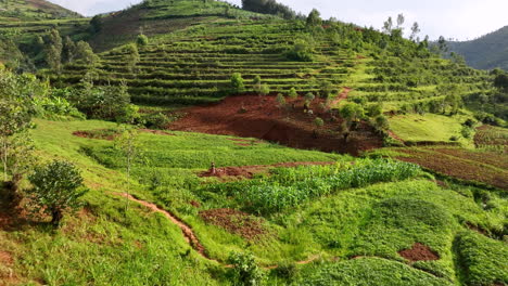 Video-De-Un-Dron-Volando-A-Baja-Altura-Sobre-El-Fondo-Del-Valle-En-Ruanda