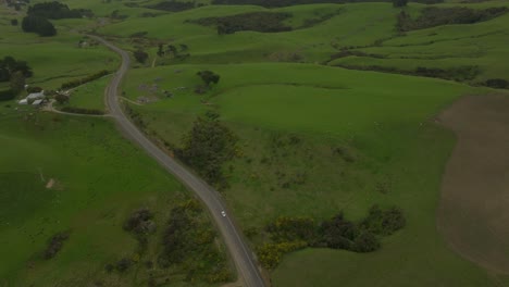Winding-rural-road-through-green-grass-fields-of-Catlins-on-overcast-day,-aerial