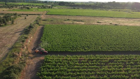 Establisher-aerial-view-of-French-vineyards,-tractor-spraying-toxic-pesticides
