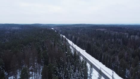 Epic-aerial-view-of-wonderful-Baltic-forest-landscape-in-Ogre,-Latvia,-dolly-out