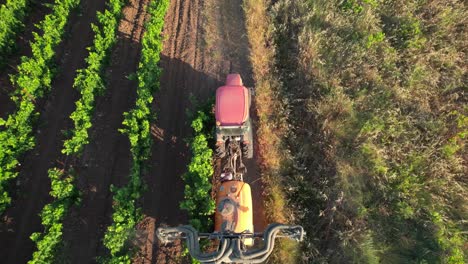Aerial-view-of-devastating-impact-of-toxic-pesticides-on-French-vineyards