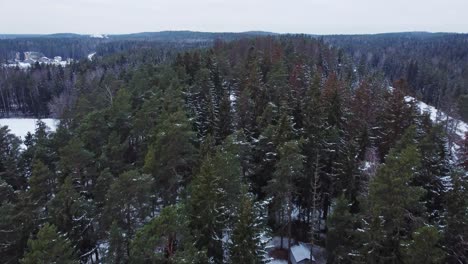 4k-aerial-drone-shot-of-Baltic-forest-in-winter,-flying-forward,-snowy-landscape