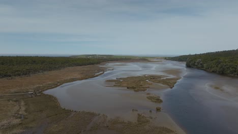 Tautuku-river-Estuary-with-brown-brackish-water-in-New-Zealand-ecotone,-aerial