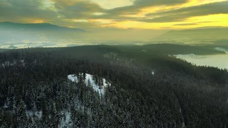 Cielos-Espectaculares-Sobre-Los-Bosques-De-Columbia-Británica-Cerca-De-Enderby---Vista-De-Cámara-De-Drones