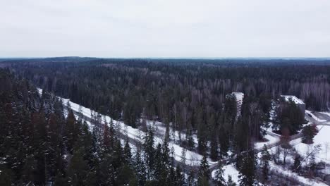 Amazing-winter-snowy-landscape-forest-in-Ogre-Latvia,-Baltic-state,-aerial