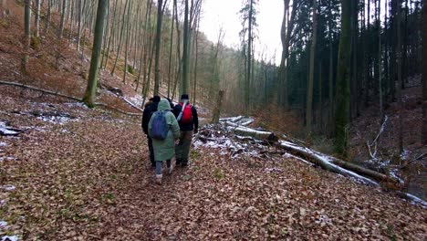 A-group-of-friends-wandering-through-a-forested-landscape-in-winter