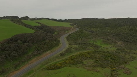 Empty-rural-road-in-Catlins-with-green-vegetation-during-cloudy-day,-aerial