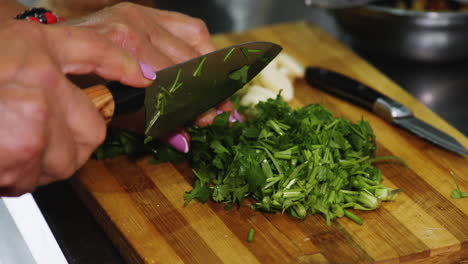 Close-up-of-woman-hands-with-manicure-cutting-parsley-for-a-homemade-dish